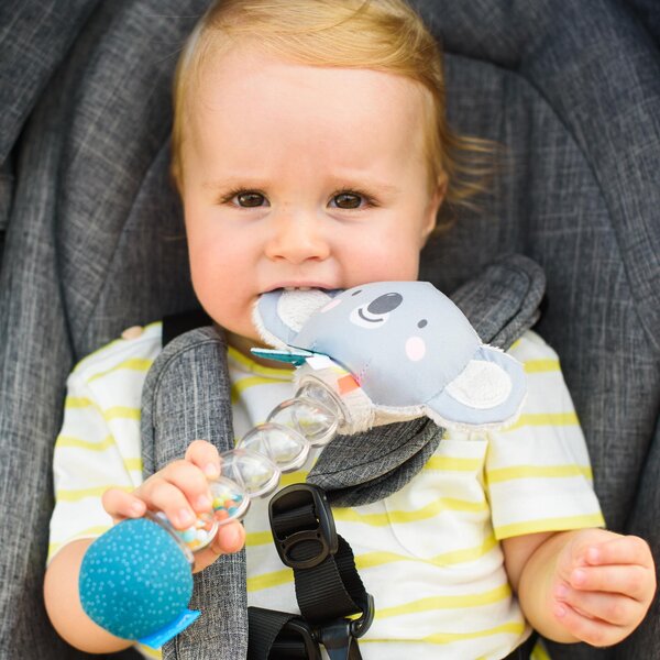 Taf Toys kõristi Koaala  - Taf Toys