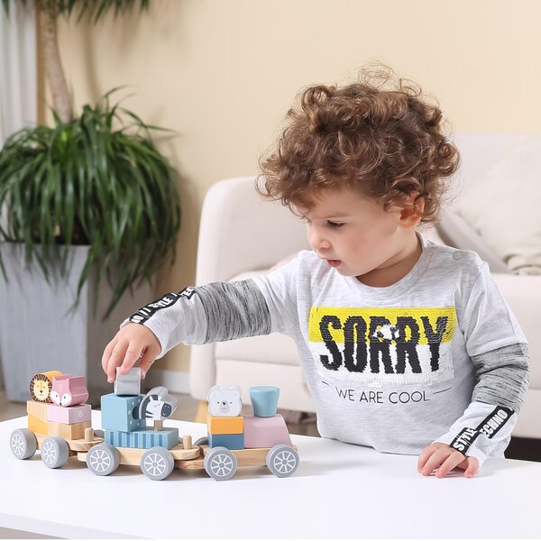 PolarB Stacking Train Multicolor - PolarB