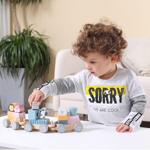 PolarB Stacking Train Multicolor - PolarB