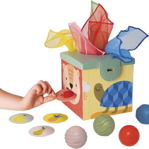 Taf Toys развивающая игрушка Magic box - Taf Toys