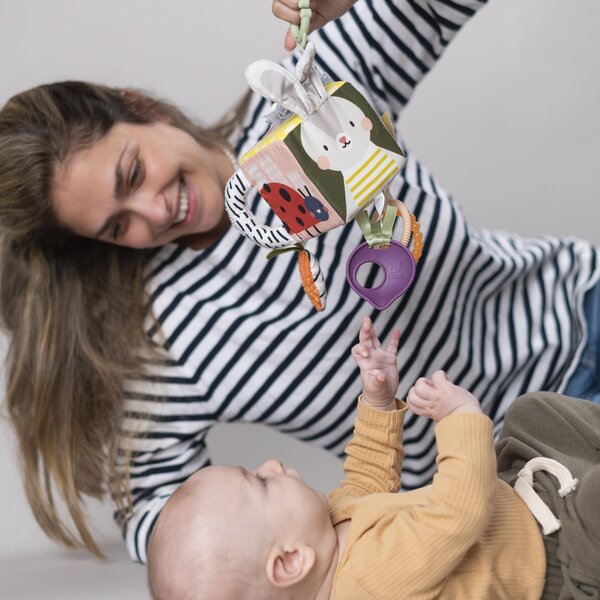 Taf Toys activity cube Urban Garden - Taf Toys