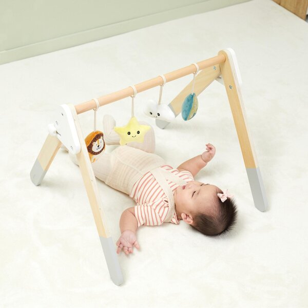 PolarB Baby Play Gym - PolarB