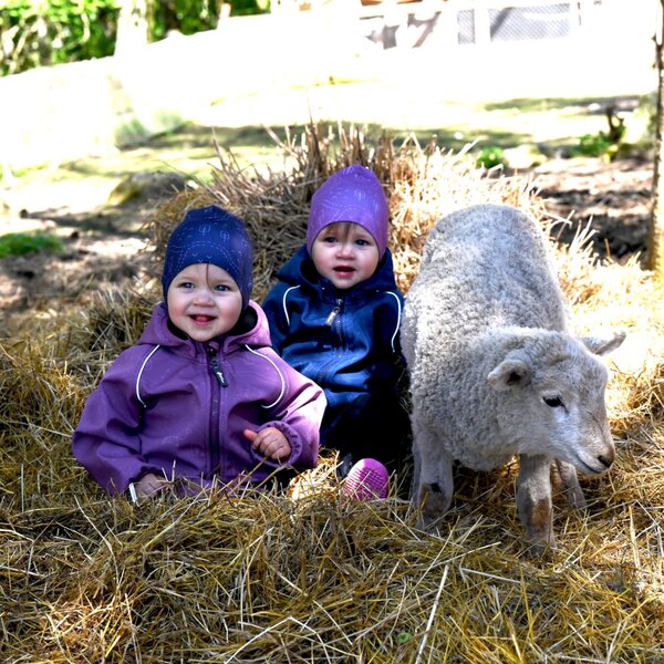 Nordbaby Hooded softshell overall Shnelly - Nordbaby