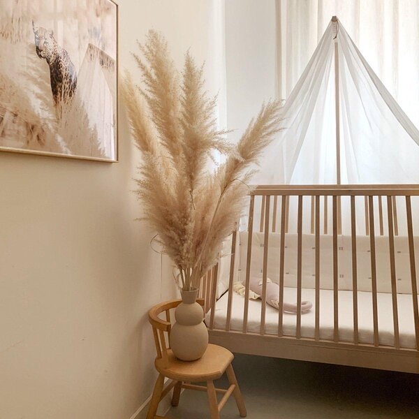 Leander Linea baldahīna turētājs, Beech - Leander