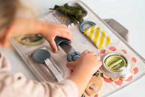 Taf Toys educational toy Snap and Learn  - Taf Toys