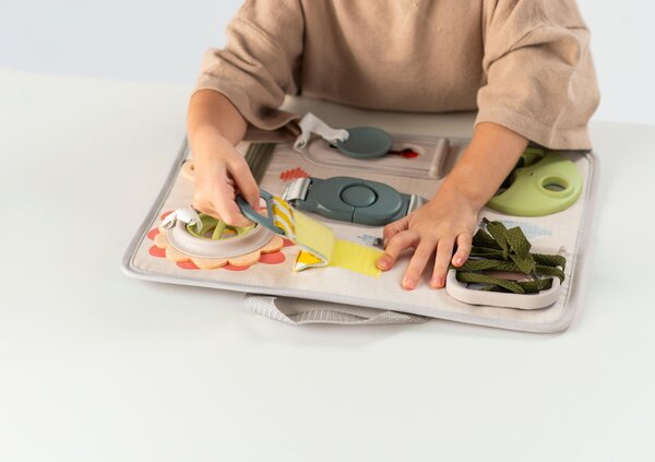 Taf Toys educational toy Snap and Learn  - Taf Toys