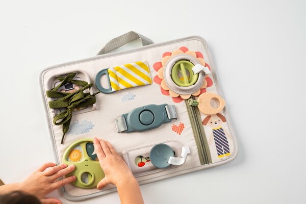 Taf Toys educational toy Snap and Learn  - Taf Toys