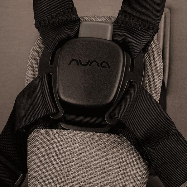 Nuna Triv LX stroller set Cedar, with accessories - Nuna