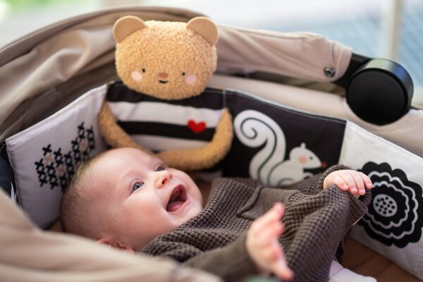 Taf Toys Snuggle Bear Book - Taf Toys