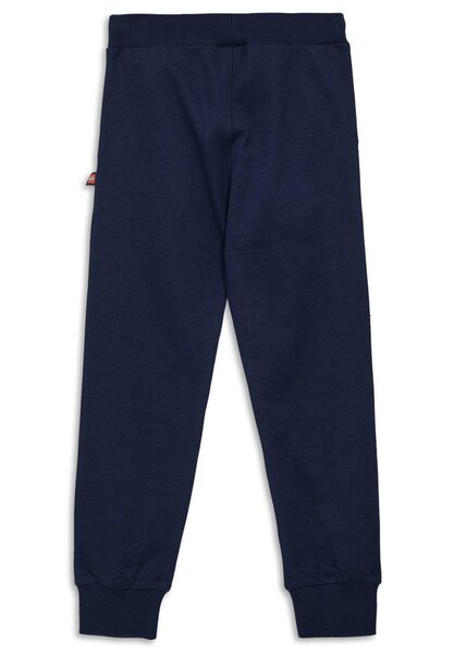 Legowear sweat pants Lwpasi 600 - Legowear