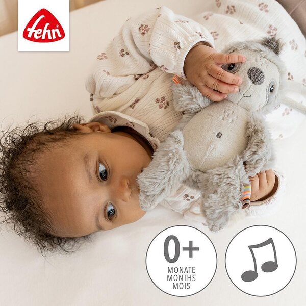 Fehn muusikaga mänguasi, Laiskloom - Fehn