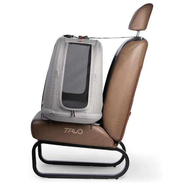 Tavo Pet Protection System Crispin L, Merle - Tavo