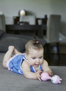 развивающая игрушка Alilo R1 (LV) Pink - Alilo