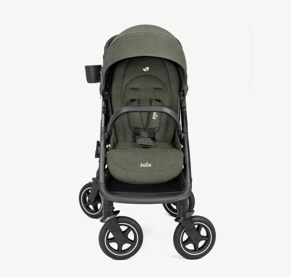Joie jalutuskäru Mydrift Fern - Joie
