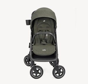Joie jalutuskäru Mydrift Fern - Joie