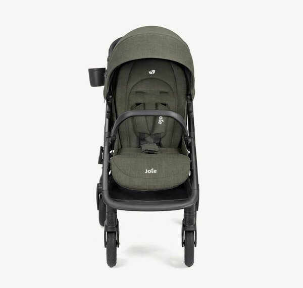 Joie jalutuskäru Mydrift Fern - Joie