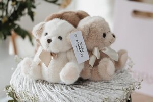 Teddykompaniet soft toy 12cm, Besties (1PCS) - Teddykompaniet